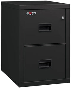 FireKing Turtle Fire File Cabinet