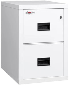 FireKing Turtle Fire File Cabinet