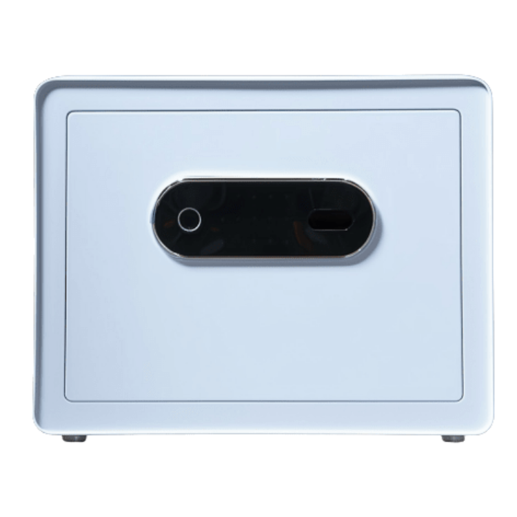 AMSEC-CS1215-Closet-Safe